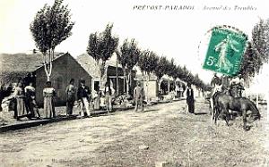 1192- Prevost-Paradol Avenue des Trembles